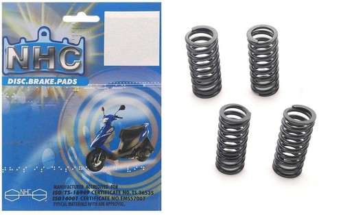 Clutch spring kit - spring,
