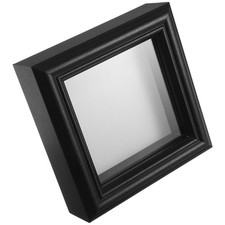  Photo Frame Insect Display