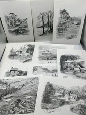 Colin Williamson Lakeland Art