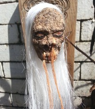 Long white haired - haired, shrunken