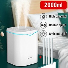 Air Purifier Essential Oil