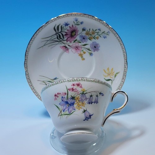 Shelley bone china - shelley,