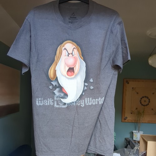 Disneyland paris hanes grey - paris, t