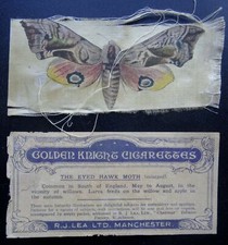 THE EYED HAWK MOTH Butterflies & Moths X12 by R.J. Lea ltd