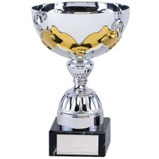 SILVER / BLUE, SILVER / GOLD