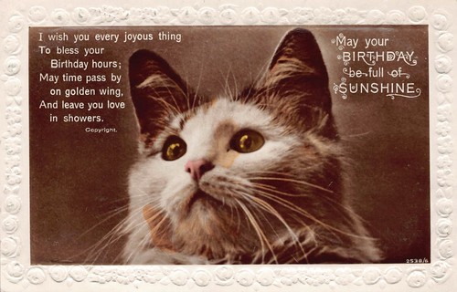 Family history postcard - -,
