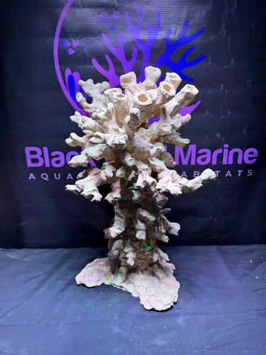 Bpm meso ceramic reef - ceramic,