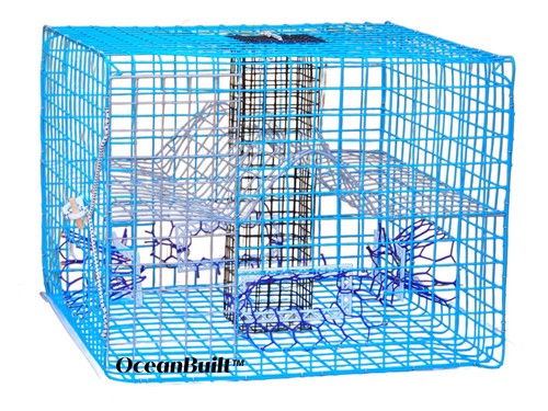 Florida blue crab traps - florida,