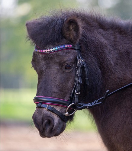 Waldhausen star bridle - star, pinky