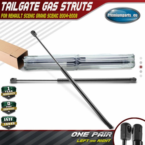 Tailgate rear boot gas - 2x,