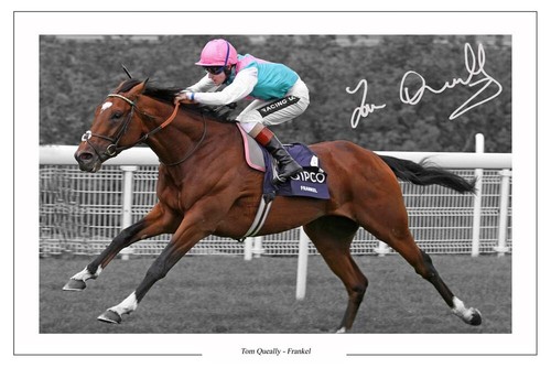 Tom queally signed photo print - tom,