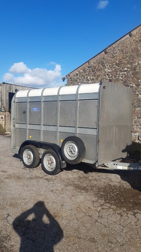 Ifor williams livestock cattle - williams,