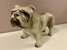 Vintage English Bulldog