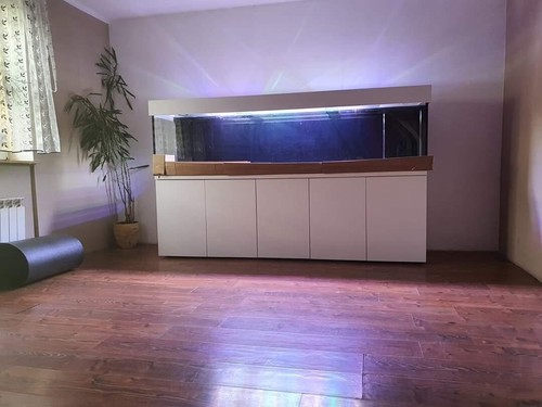 Customer order aquarium with