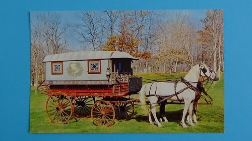 Gypsy wagon queen - gypsy, phoebe
