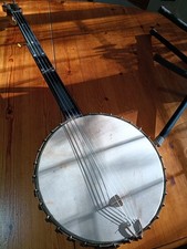 Fretless 5 String Banjo By