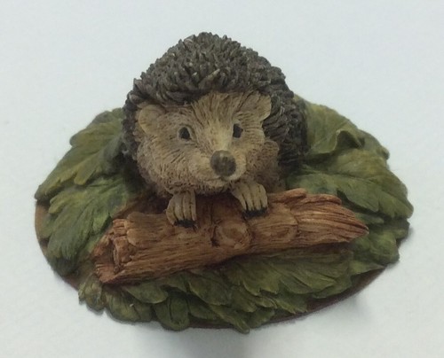 Country artists hedgehog - country, in