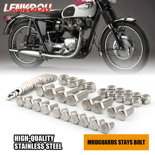 Mudguards stays stainless - mudguards,