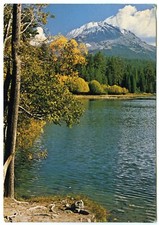 1980s Manzanita Lake Postcard Sent to Chatsworth Road Bournemouth Oct 1985