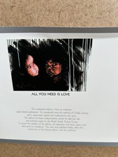 Rolf Harris All You Need Is