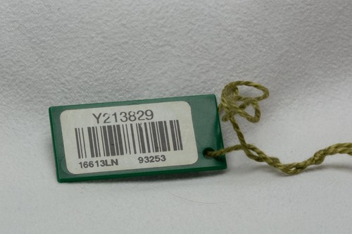 Rolex green swing tag - rolex,