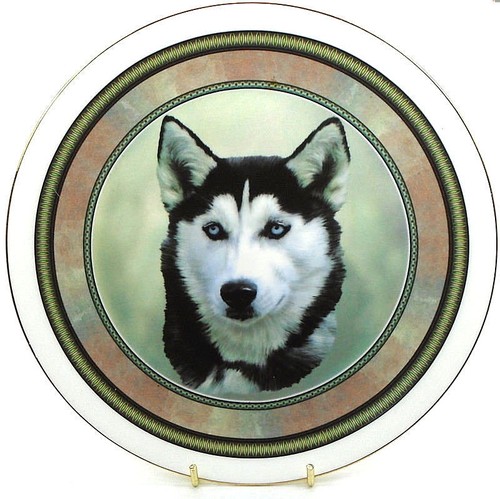 Dog plates choose your - s,