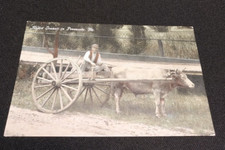 Vintage Postcard Rapid Transit