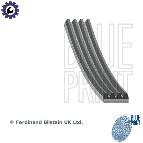 Vribbed belt ad04r885 for - belt,