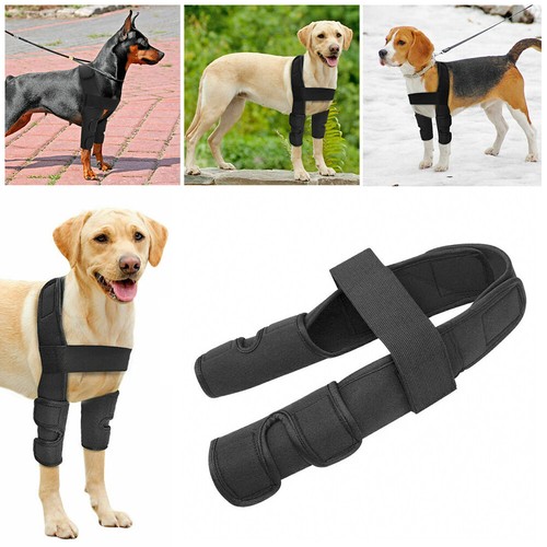 Dog leg brace front elbow - leg,