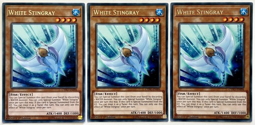 Cyho en096 white stingray - x,