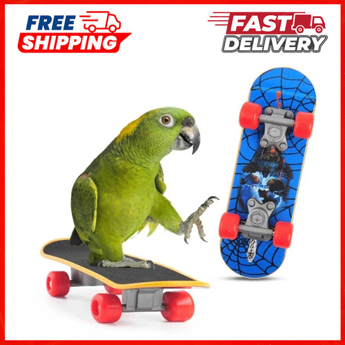Skateboard trick training - skateboard,