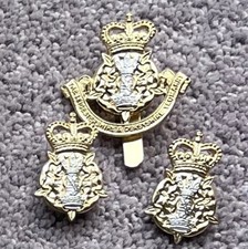 Leicestershire & Derbyshire Yeomanry : Anodised / Staybrite Cap Badge & Collars