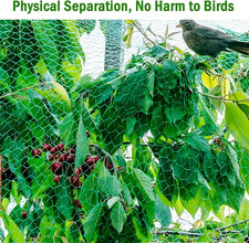 Green Garden Netting 4M X 10M Grass Seed Pea Netting for Vegetables Plan