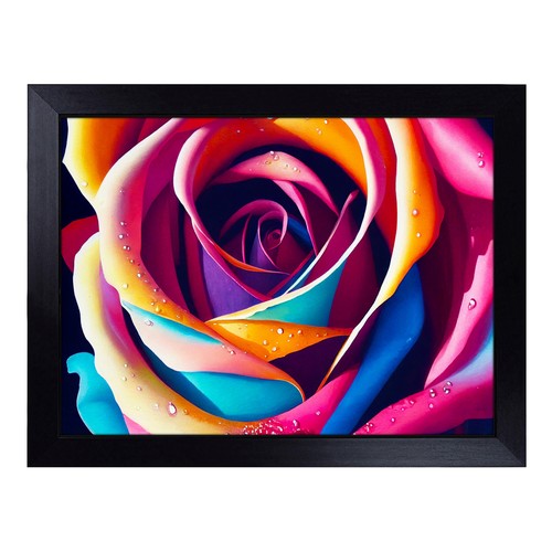 Colourful rose flower - colourful,