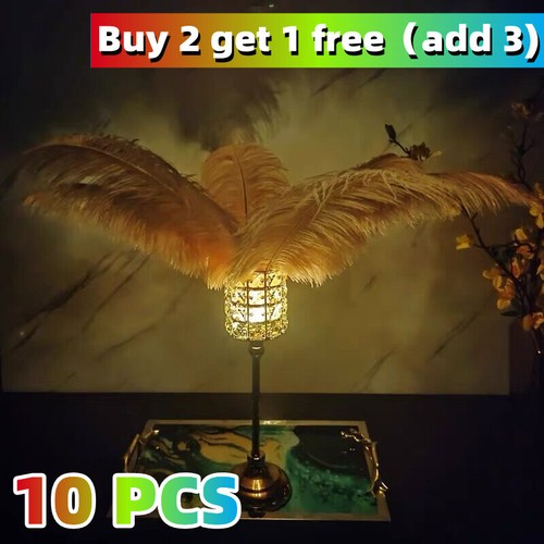 Large ostrich feathers - 10×,