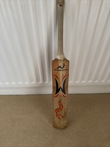 Woodworm cricket bat - cricket, freddie