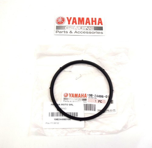 Oem yamaha yzf - oem, fz6