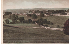 VINTAGE postcard:  BIRDS EYE