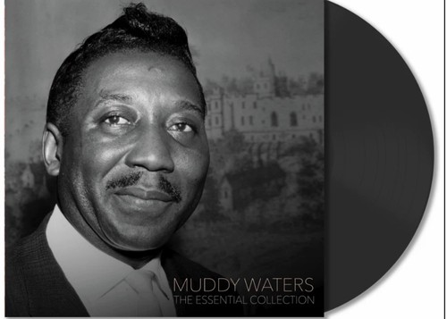 Muddy waters the essential - muddy,
