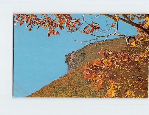 Postcard old man - postcard,