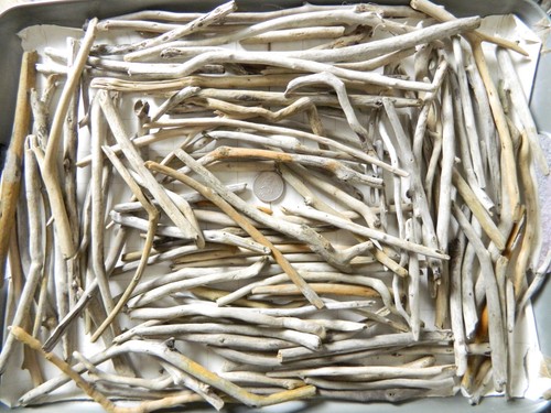 100 driftwood twig - driftwood, pieces