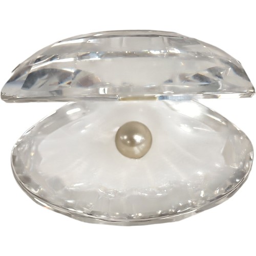 Crystal oyster shell - oyster,
