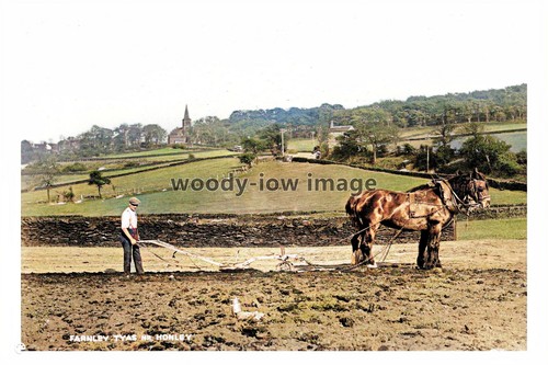 Ptc2184 yorks farmer - ptc2184,