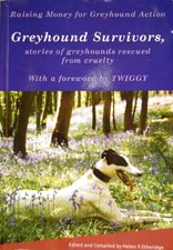 Greyhound survivors stories - greyhound, survivors: