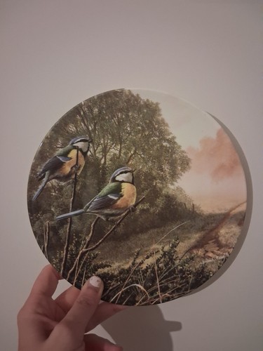 Vintage royal doulton plate - vintage,
