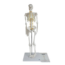 Axis Scientific Miniature