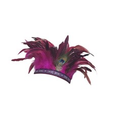 Feather Headdress American