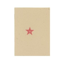 WW2 Russian RKKA Soldier ID