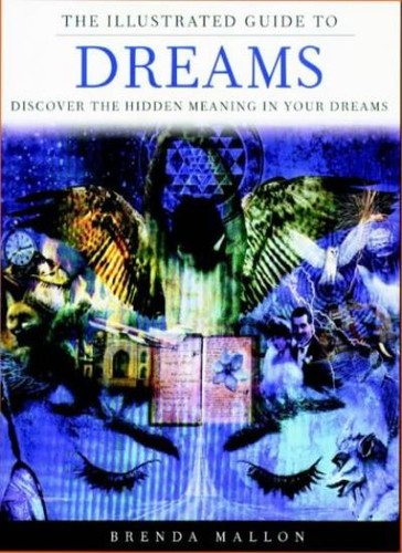 The illustrated guide - guide, to