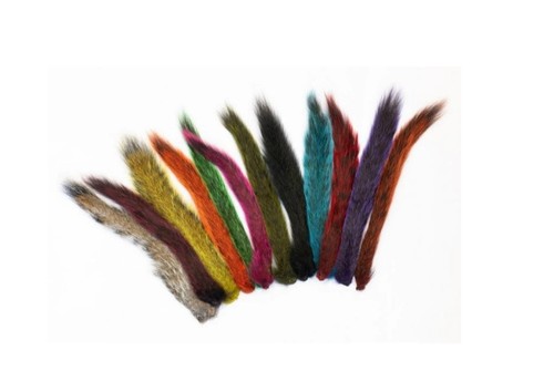 Grey squirrel tail - squirrel,